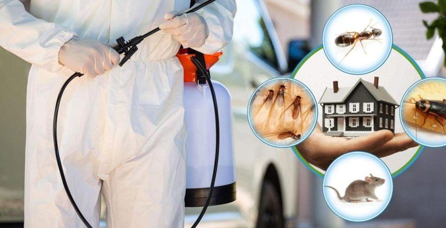 Yurdoğlu Böcek İlaçlama