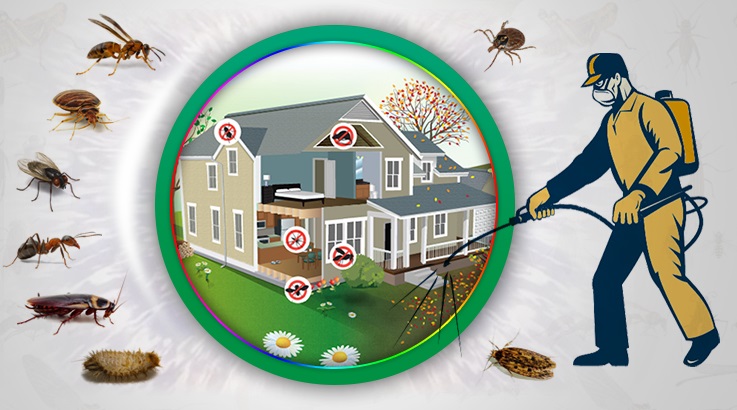 Yurdoğlu Böcek İlaçlama