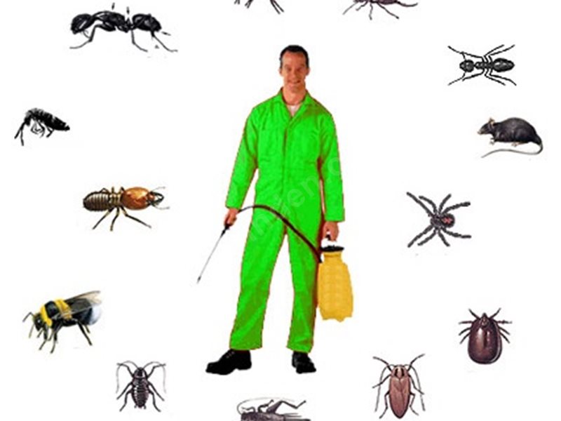 Yurdoğlu Böcek İlaçlama